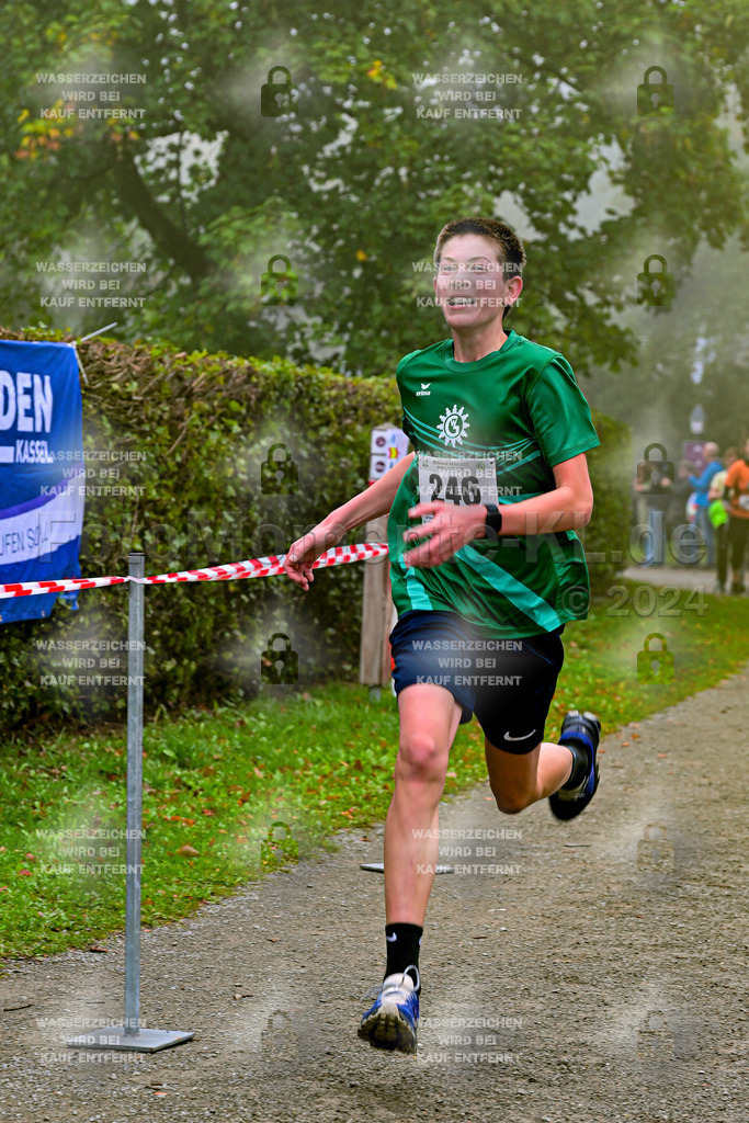 Z8N_1576 | la-psv - Realisiert mit Pictrs.com