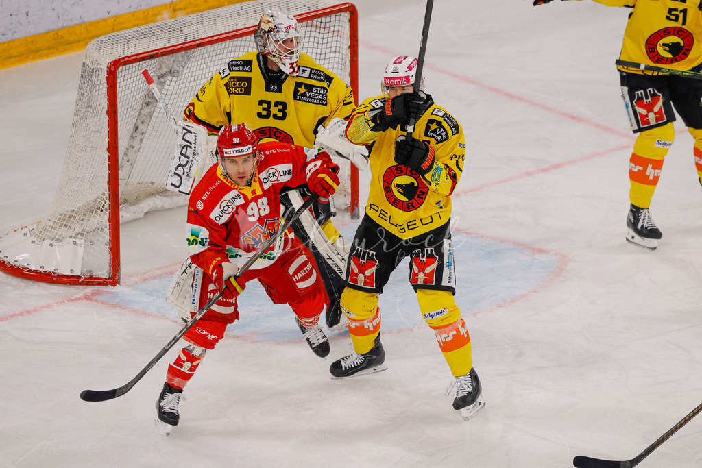 EHCB vs SCB 20260110_wb-2947 | Sportbilder, Sportfotograf, Hochzeits- und Eventfotografin, Flugshows, Portraits und Tiershooting, Aviation, Downhill, Nationalleague, Swissleague, International