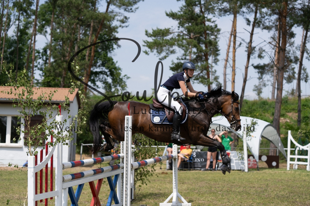 A7V07300 | Pferdefotograf