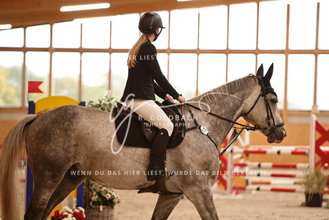 1J2A4108Alina Maack_ Karat du Scal__ Kn302_ Hohen Wieschendorf_ Glantz | Foto- und Videografie für alles rund ums Pferd. Hochwertige Bilder und Videos vom Spring- und Dressurreiten, Voltigieren & mehr. Jetzt aktuelle Veranstaltungen und Preise im Shop ansehen. - Realisiert mit Pictrs.com