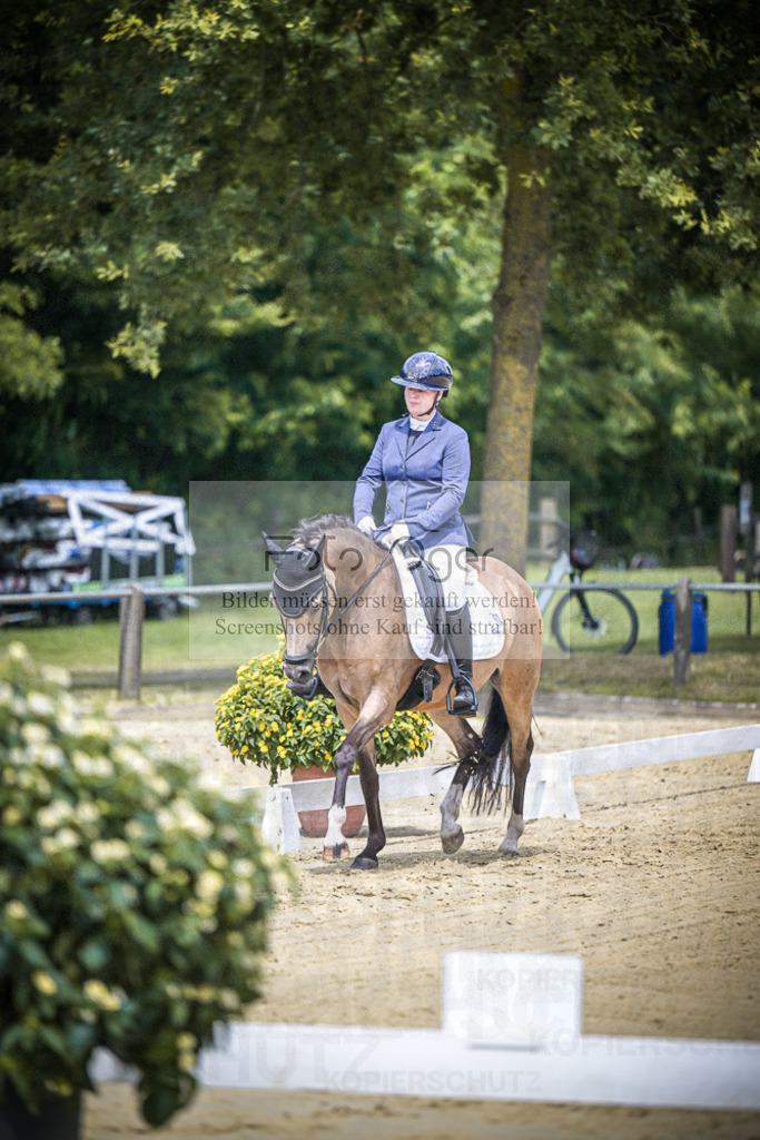 DOS_0258 | Entdecke hochwertige Reitturnierfotos von Foto Oger. Professionell, emotional und authentisch – jetzt Lieblingsmomente im Shop bestellen.Deutschlandweite Turnierfotografie. - Realisiert mit Pictrs.com