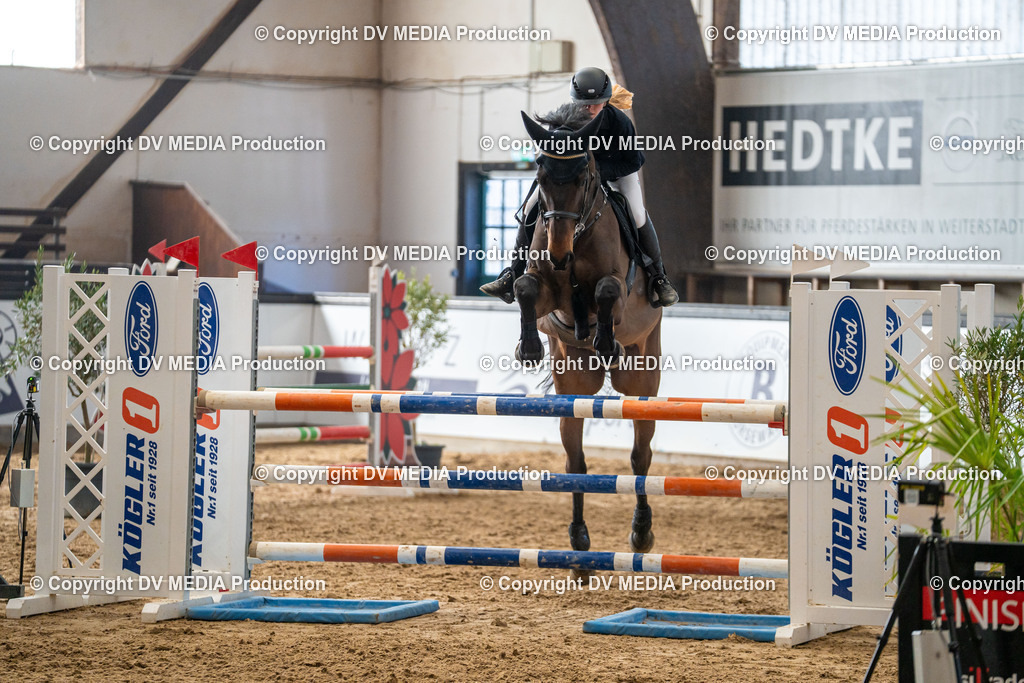 Kranichstein Tag 2-345 | dv-media-shop - Realisiert mit Pictrs.com