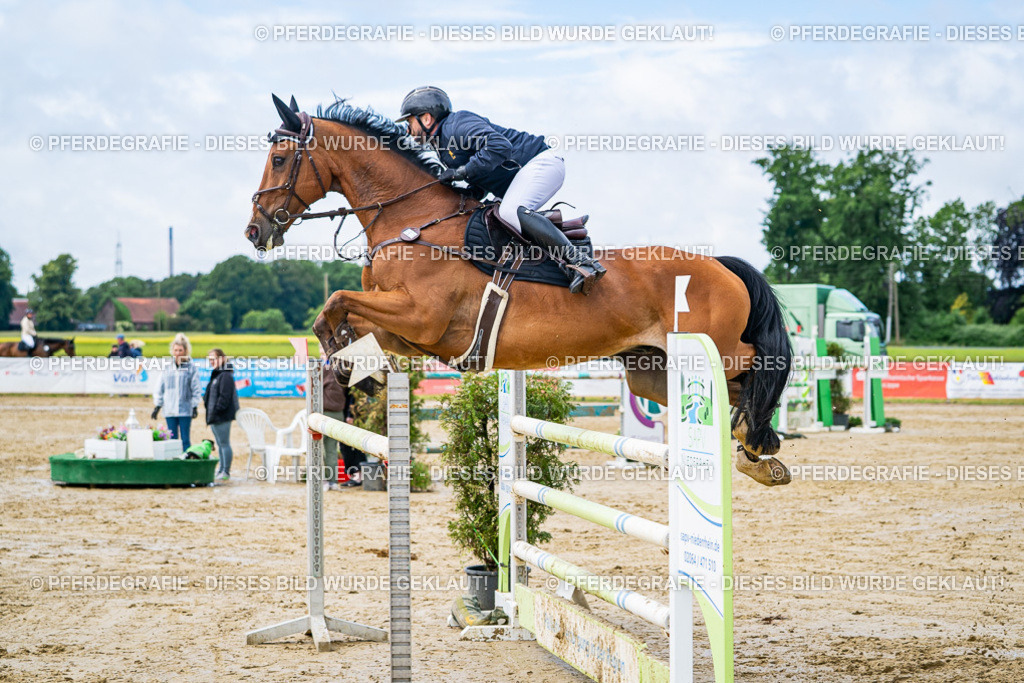 DSC03989 | Pferdegrafie