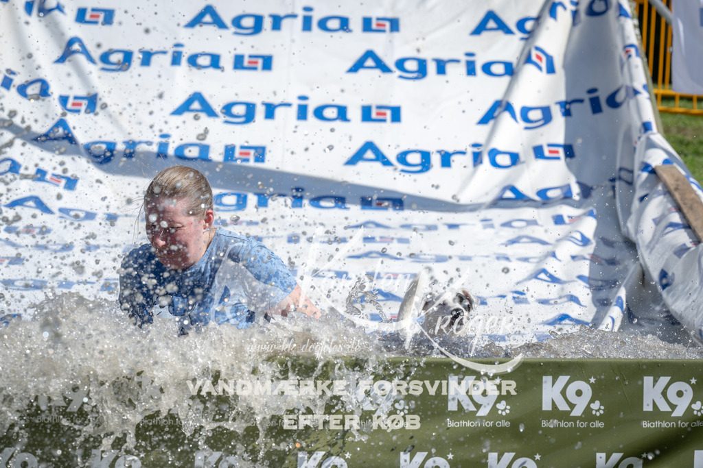 1138_ZZ93177 | kk-dogfotos