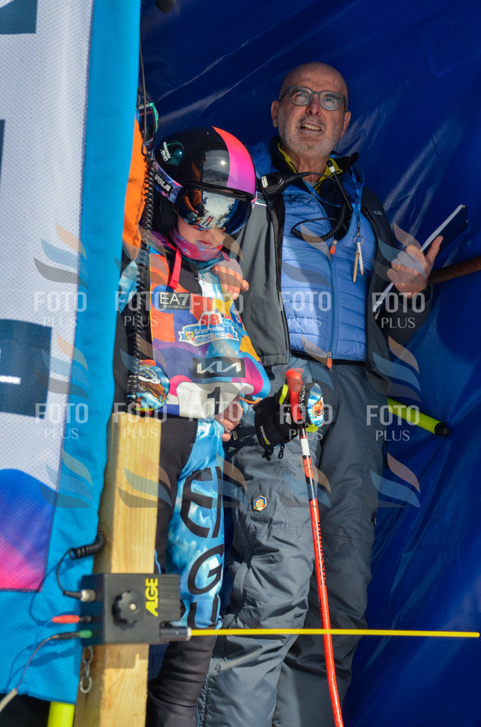 _ELE4316 | holidayphoto