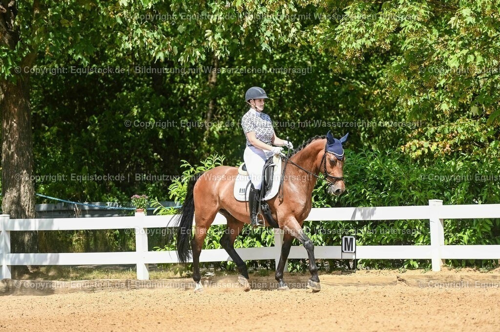 20230715_02_Dressurreiterprüfung Kl.L_0139 | equistock