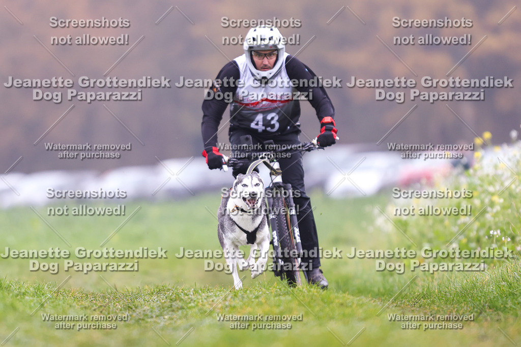 Dog Paparazzi - Visbeck 25 -192 | Dog Paparazzi Jeanette Grottendiek Fotografie & Videografie - Realisiert mit Pictrs.com