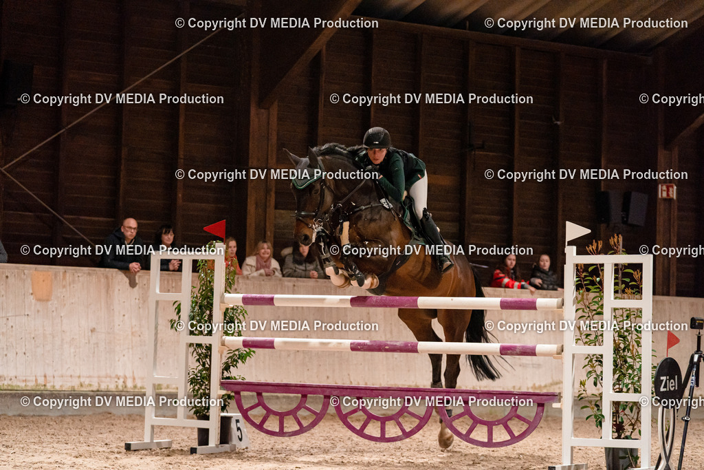 Springen Tag 2-925 | dv-media-shop - Realisiert mit Pictrs.com