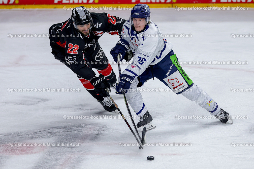 KEC22122401063 | 22.12.2024, Eishockey, DEL, Kölner Haie - Straubing Tigers, Spieltag 29, Lanxess-Arena Köln: Maximilian Glötzl (Kölner Haie #22) im Zweikampf um den Puck gegen Elis Hede (Straubing Tigers #75)