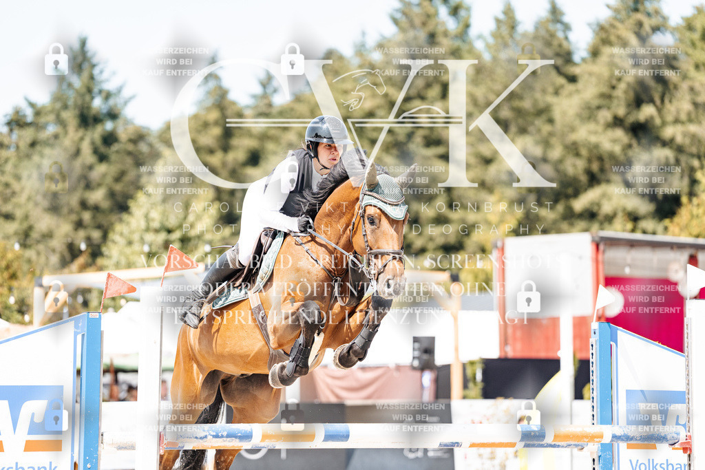 CK901092 | Turnierfotografie Pferdefotografie Trier Rheinland-Pfalz Pferdesport Reitsport Tierfotografie Sportfotografie Pferdevideo Pferdevideografie Equestrianvideography equestrianphotography  - Realisiert mit Pictrs.com