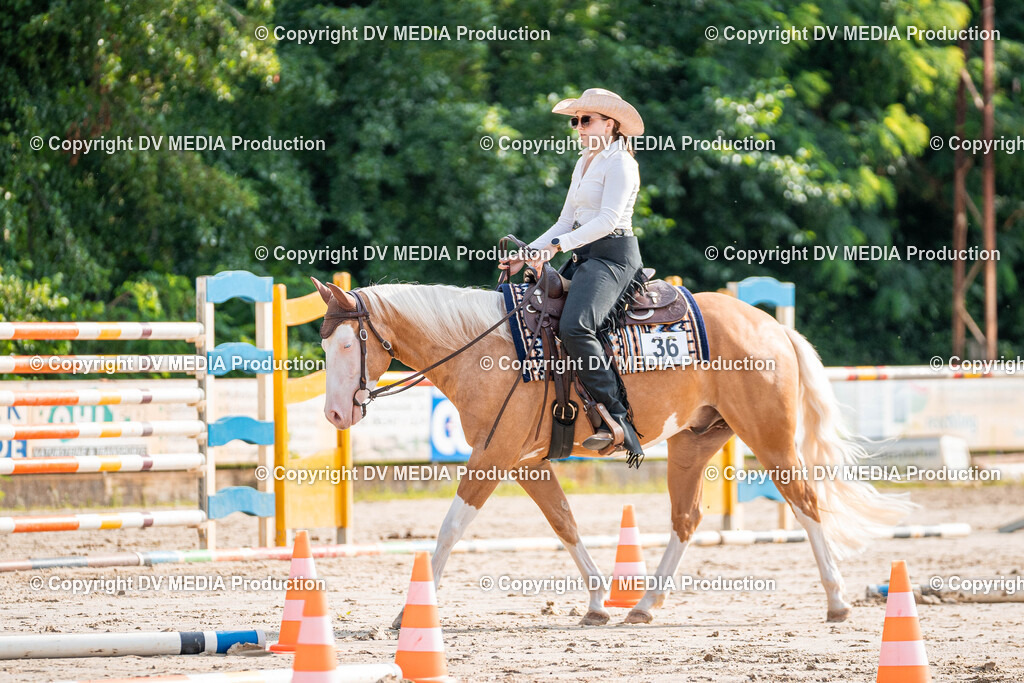 Zeiskam Tag 3-105 | dv-media-shop - Realisiert mit Pictrs.com