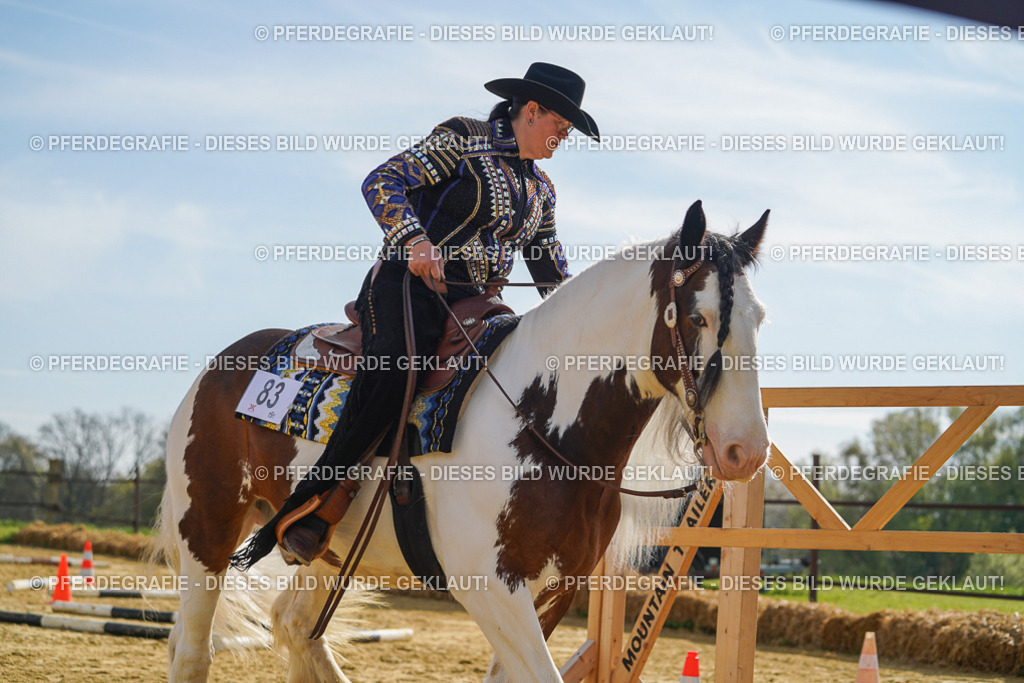 DSC01603 | Pferdegrafie