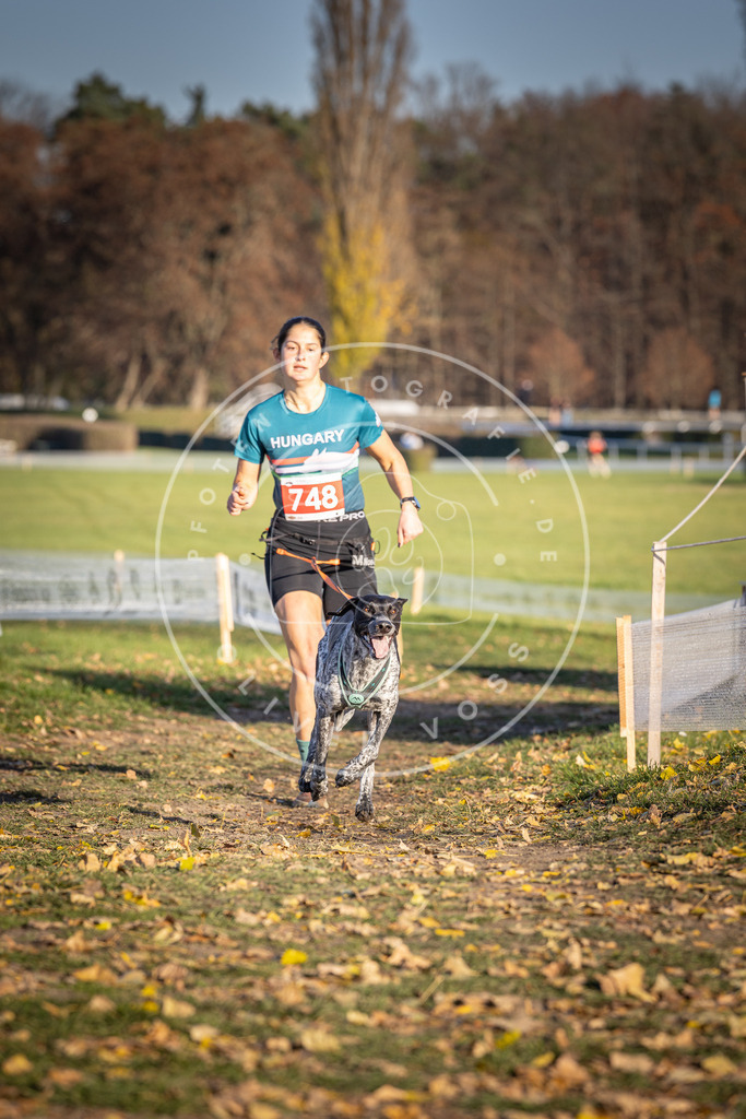 CaniXpix_DV3A2352 | Hundefotografie, Tierfotograf, Pfotenfotografie, Fotoshooting Hund, Hunde Portrait, Hundesport, Hundeportraits, Heideshooting, Hunde, Sportfotograf, Hundefotograf, Turnierhundsport, THS,  - Realisiert mit Pictrs.com