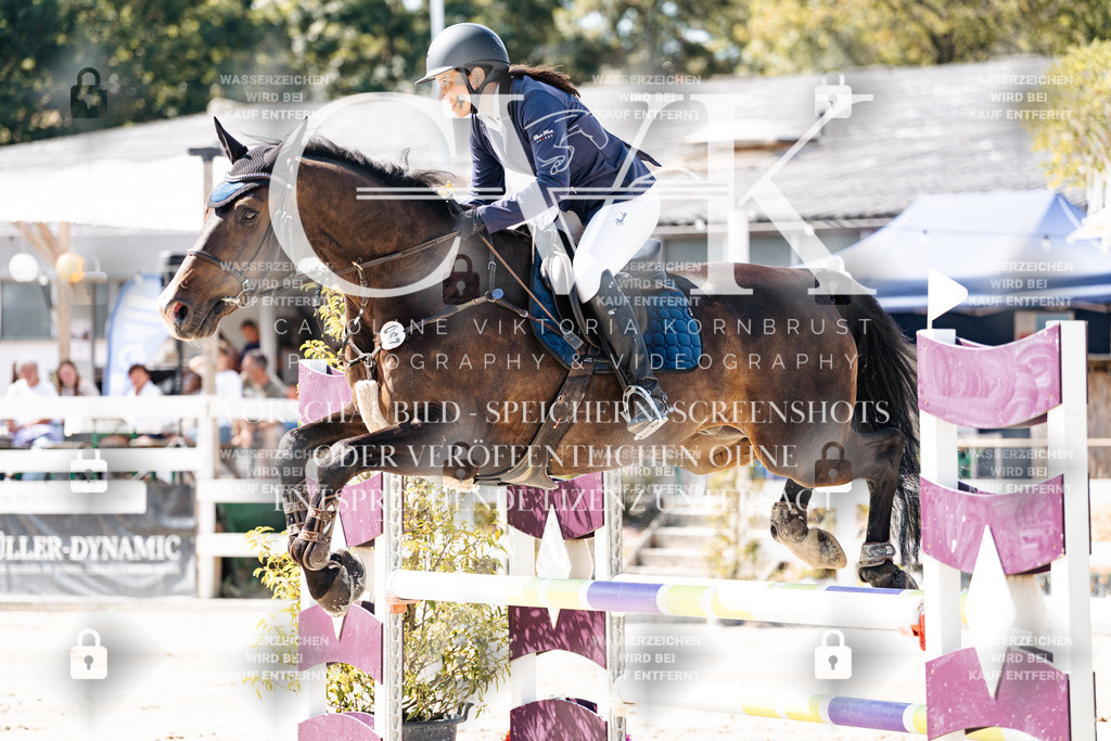 CK908710 | Turnierfotografie Pferdefotografie Trier Rheinland-Pfalz Pferdesport Reitsport Tierfotografie Sportfotografie Pferdevideo Pferdevideografie Equestrianvideography equestrianphotography  - Realisiert mit Pictrs.com