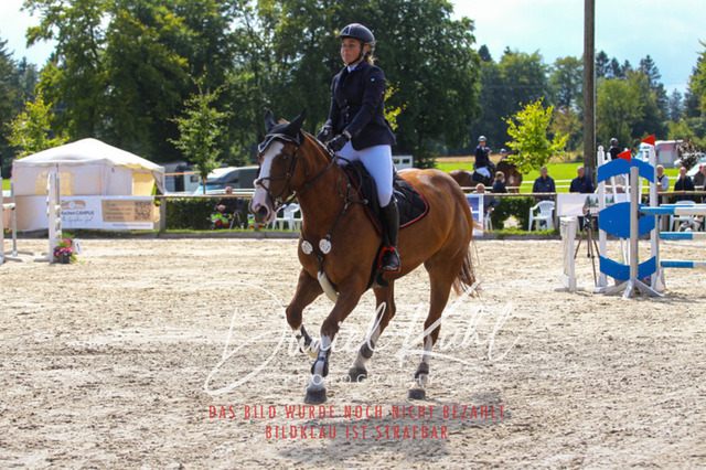 DKP43648 | Turniersportfotografie; Pferdefotografie; Dressurfotografie