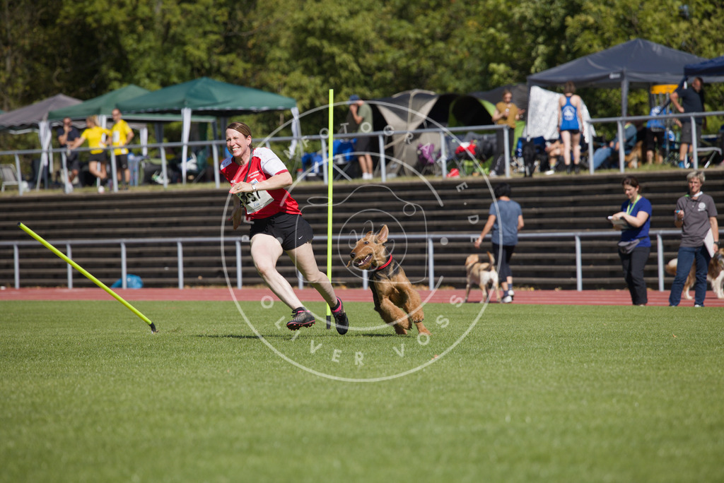 0L8A7125 | Hundefotografie, Tierfotograf, Pfotenfotografie, Fotoshooting Hund, Hunde Portrait, Hundesport, Hundeportraits, Heideshooting, Hunde, Sportfotograf, Hundefotograf, Turnierhundsport, THS,  - Realisiert mit Pictrs.com