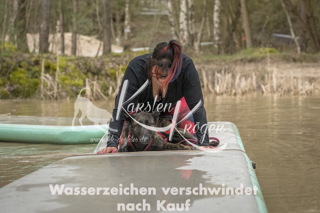 1040_ZZ93183-Bearbeitet | kk-dogfotos