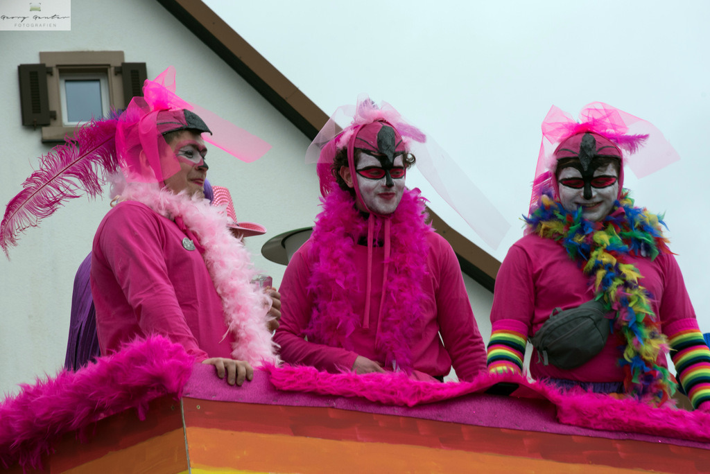 FastSonn_23-093 | Fotoblog Schwarzwald, Foto Blog Wiesental, Pfaffenberg, Winterzauber, Zeller Bergland, Zell im Wiesental, Fotoblog Wiesental, Landschaftsfotos, Bilder Wiesental, Natur, Naturbilder, Fastnacht, Zeller Fastnacht, Zeller Fasnacht, Zeller Bergland, Belchen, - Realisiert mit Pictrs.com