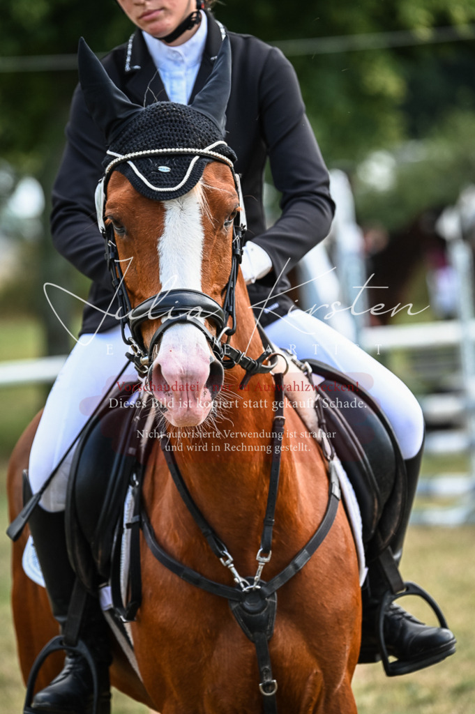 DSC_8077 | Pferde- und Turnierfotografie in Westsachsen. Pferdeportraits, Auftragszeichnungen und intuitive Kunst.