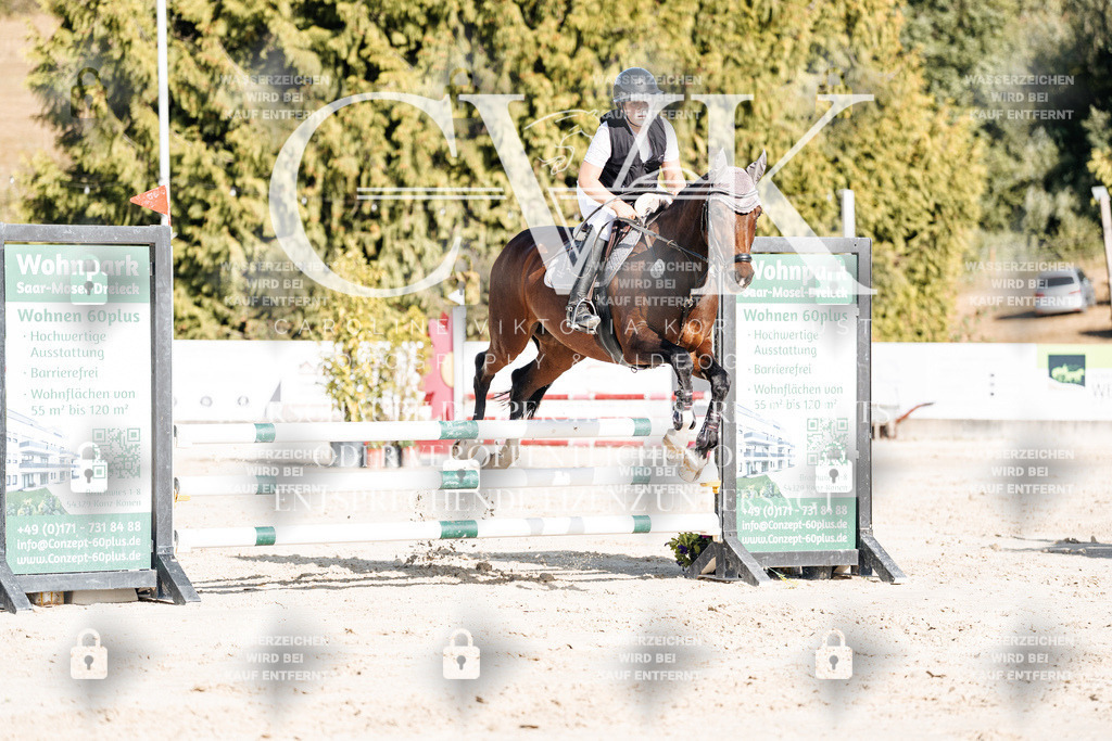 CK909284 | Turnierfotografie Pferdefotografie Trier Rheinland-Pfalz Pferdesport Reitsport Tierfotografie Sportfotografie Pferdevideo Pferdevideografie Equestrianvideography equestrianphotography  - Realisiert mit Pictrs.com