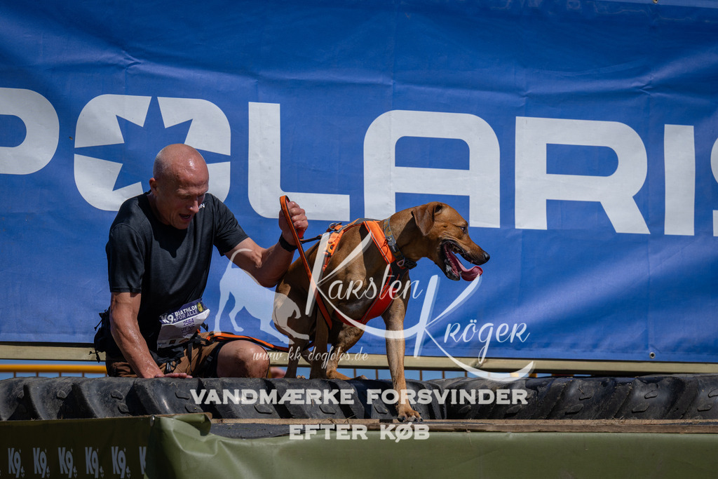 1242_ZZ96307 | kk-dogfotos