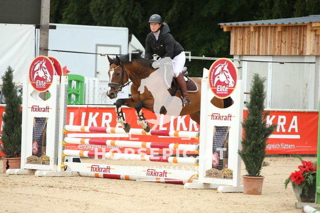 AS8V5168 | Willkommen bei Brunnmayr - Design & Fotografie – Ihrem Spezialisten für Reitturniere und Pferdeveranstaltungen in Oberösterreich, Salzburg und Bayern! Seit über 17 Jahren sind wir leidenschaftlich dabei.