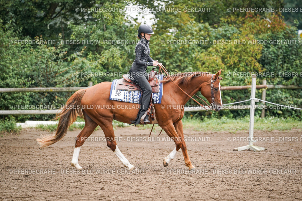 DSC02429 | Pferdegrafie