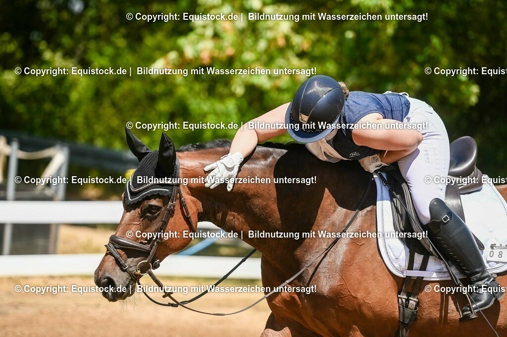 20230715_02_Dressurreiterprüfung Kl.L_0012 | equistock