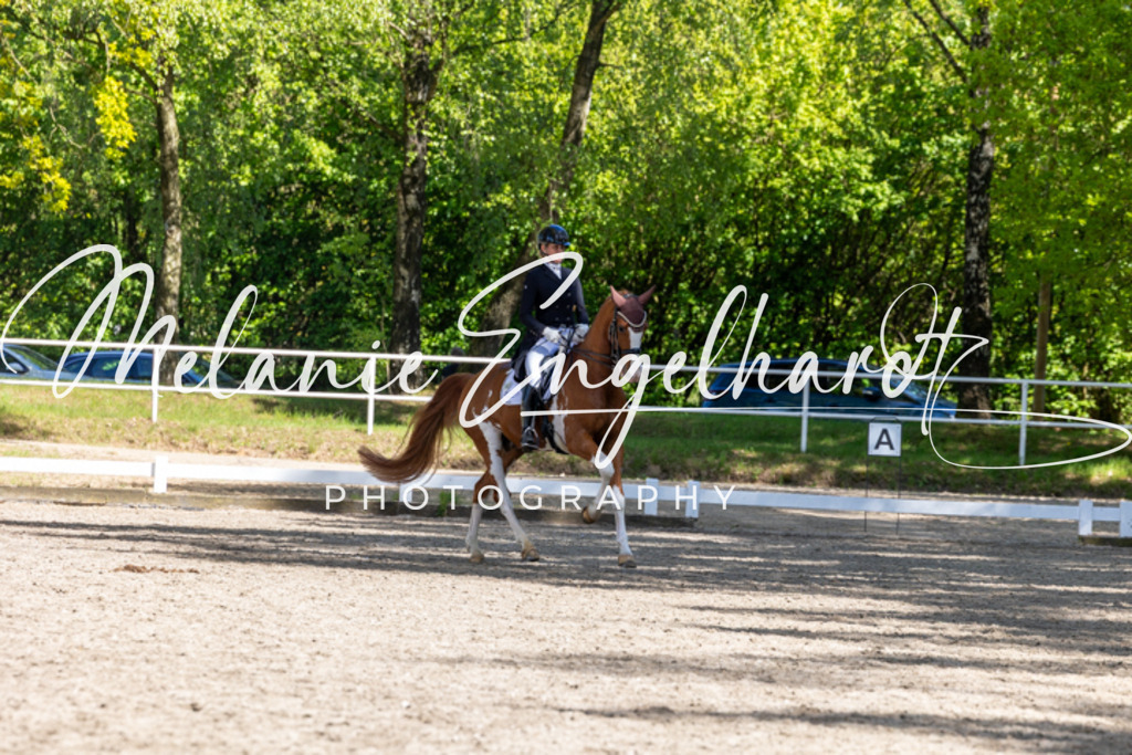 7I8A0122 | melanie-engelhardt-photography - Realisiert mit Pictrs.com