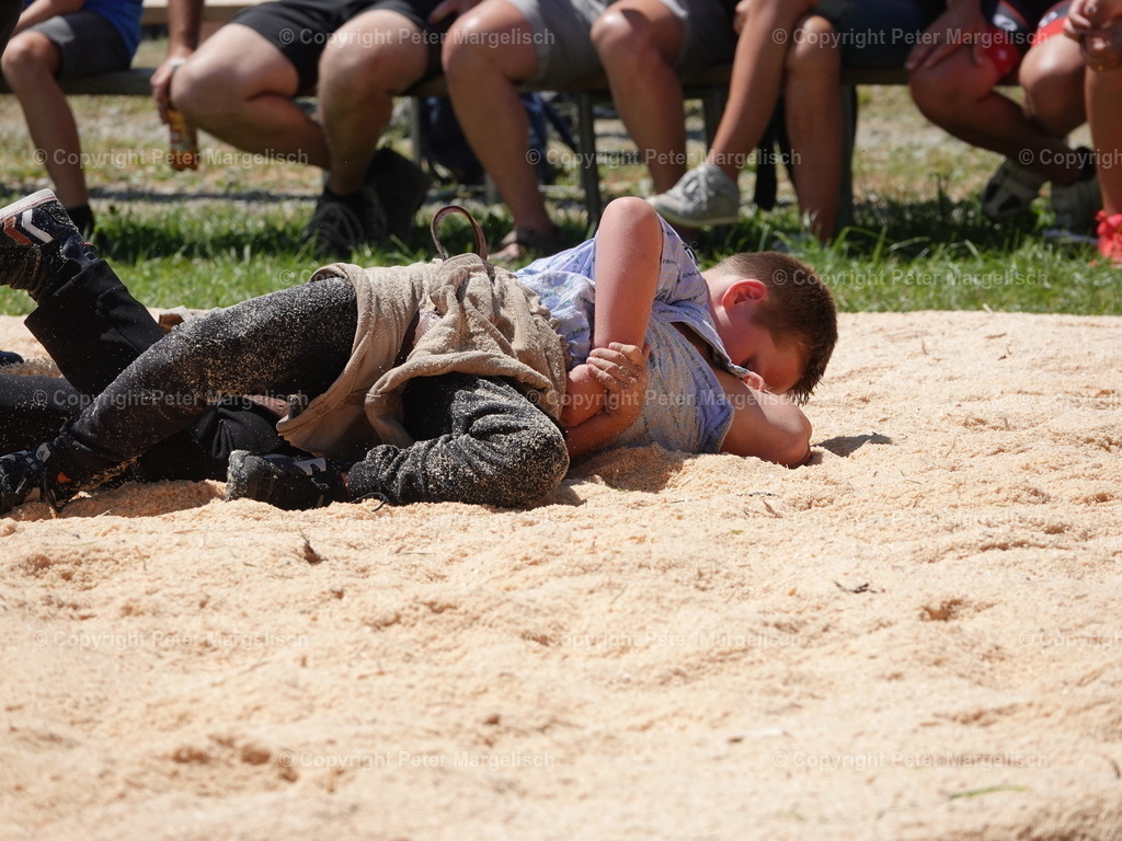 DSC04743 | Schwingen - Realisiert mit Pictrs.com