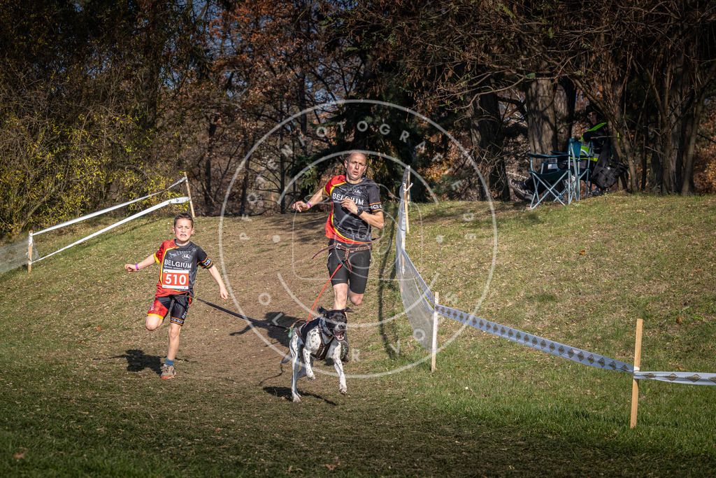 CaniXpix_0L8A8339 | Hundefotografie, Tierfotograf, Pfotenfotografie, Fotoshooting Hund, Hunde Portrait, Hundesport, Hundeportraits, Heideshooting, Hunde, Sportfotograf, Hundefotograf, Turnierhundsport, THS,  - Realisiert mit Pictrs.com
