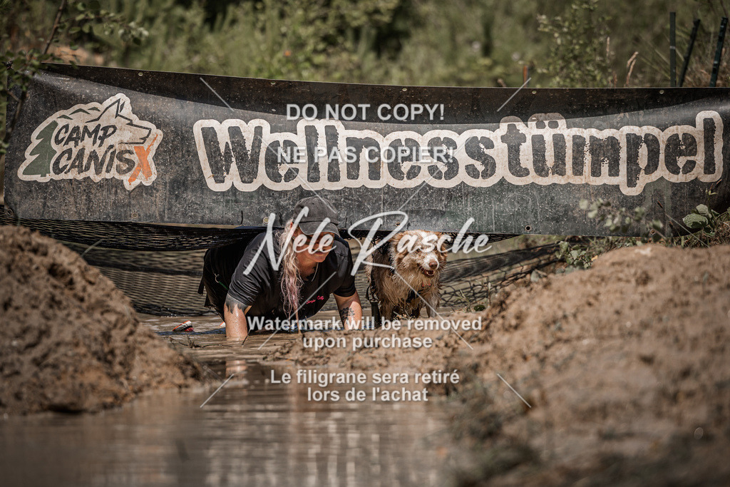 nelerasche_Hoope2026_Sa1230-1300_468 | nelerasche