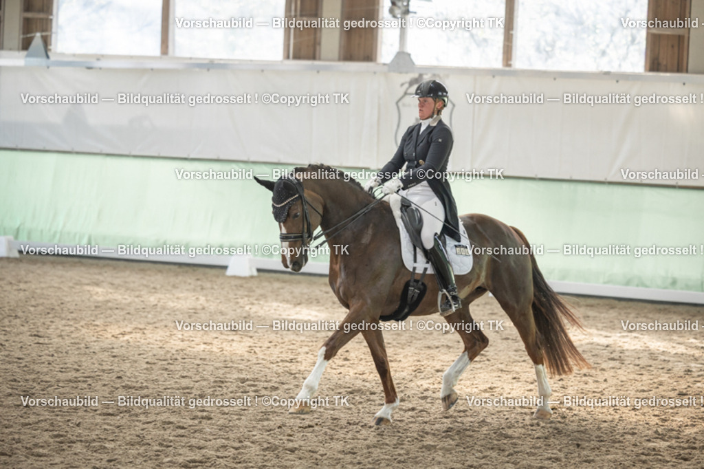 _D5A6632 | Emotionale Pferde- & People-Fotografie rund um Heidelberg, Leimen & Umgebung. Natürliche Fotos von Pferd, Mensch & Familie. Jetzt Termin sichern!