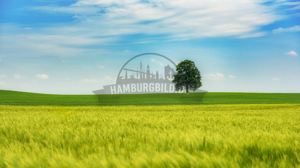 stativkunst-468 | Exklusive Hamburg collagen, tolle Segelbilder und viele weitere tolle Motive auf Leinwand, Poster, Alu-Dibond, u.v.m. findet Ihr bei uns auf hamburgbild.de. Findet Euer Wandbild für Euer Zuhause, Büro oder die  Praxis…. - Realisiert mit Pictrs.com