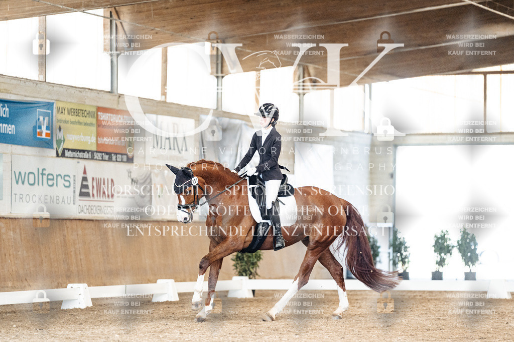 CK901301 | Turnierfotografie Pferdefotografie Trier Rheinland-Pfalz Pferdesport Reitsport Tierfotografie Sportfotografie Pferdevideo Pferdevideografie Equestrianvideography equestrianphotography  - Realisiert mit Pictrs.com