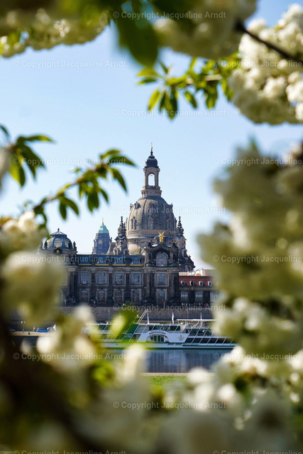 Frauenkirche_Frühling | Fotografie Photography Dresden Photoshooting  Fotoshooting Fotografin Dresdencity Bilder  Foto Dresdenvideos Kalender Postkarten Bilderdownload Portrait Hochzeitsfotografie Familienfotos Bewerbungsbilder Studiofotografie Fotograf Dresdenbilder Business - Realisiert mit Pictrs.com