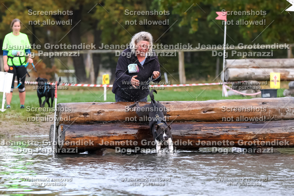 Dog Paparazzi - Strongdog 10-25-6586 | Dog Paparazzi Jeanette Grottendiek Fotografie & Videografie - Realisiert mit Pictrs.com