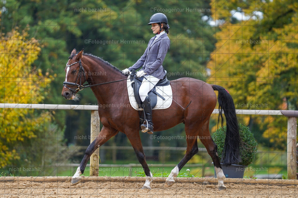 20221008-FAH01605 | Diessen am Ammersee, 2022, Dressur- und Springturnier, Reitsportbilder, Turnierfotografen Bayern, Pferdefotografen, Fotoagentur Herrmann, Turnierbilder