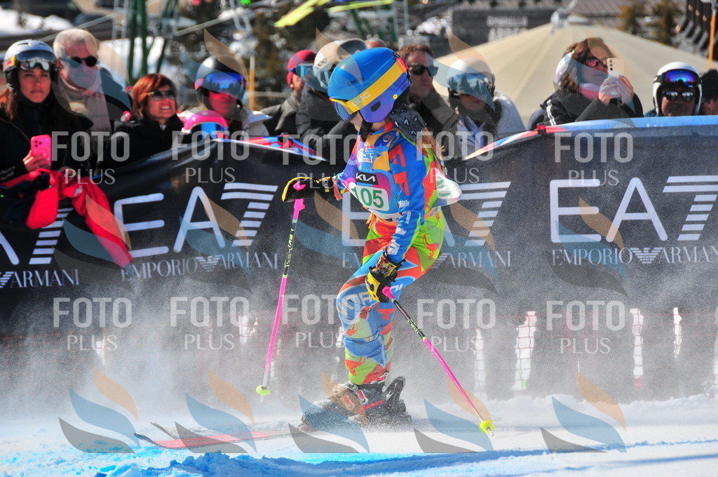 DSC_0775 | holidayphoto