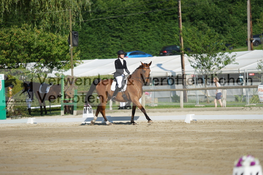 DSC04068 | equestrian-live-com