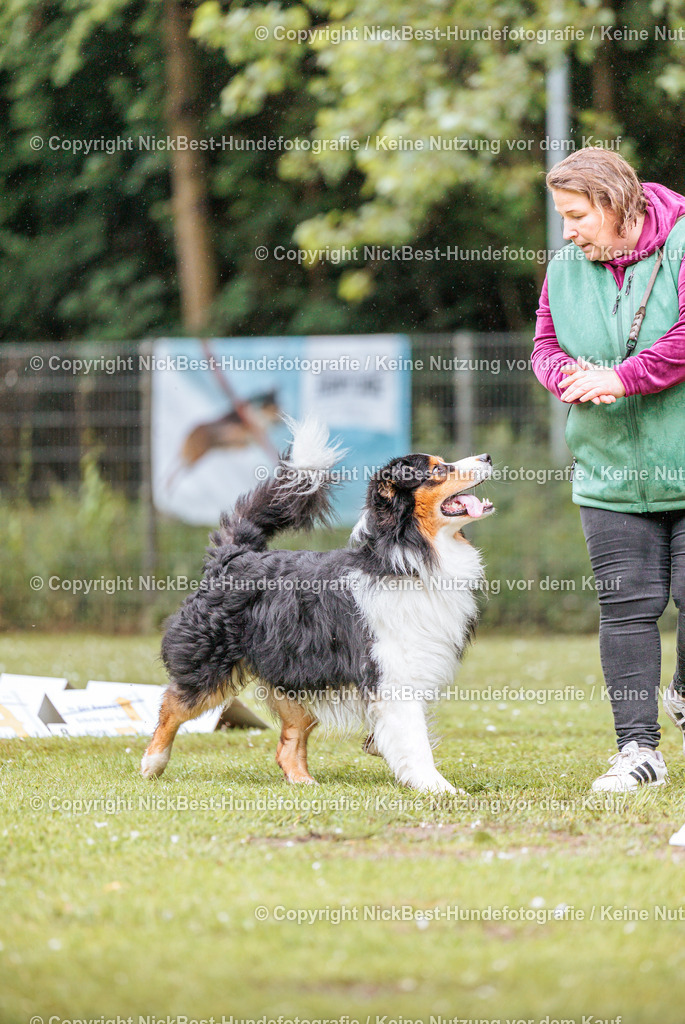 RO-Blumenthal-2026-Nickbest-Hundefotografie-0472 | Dein Hund! Dein Moment! Deine Erinnerungen! Hundefotografie in Bremen Blumenthal. Ich fange die besonderen Momente deines Vierbeiners ein – ob Indoor mit Blitzanlage oder in der freien Natur. Sicher dir dein Moment und dein Termin für eure Erinnerungen.