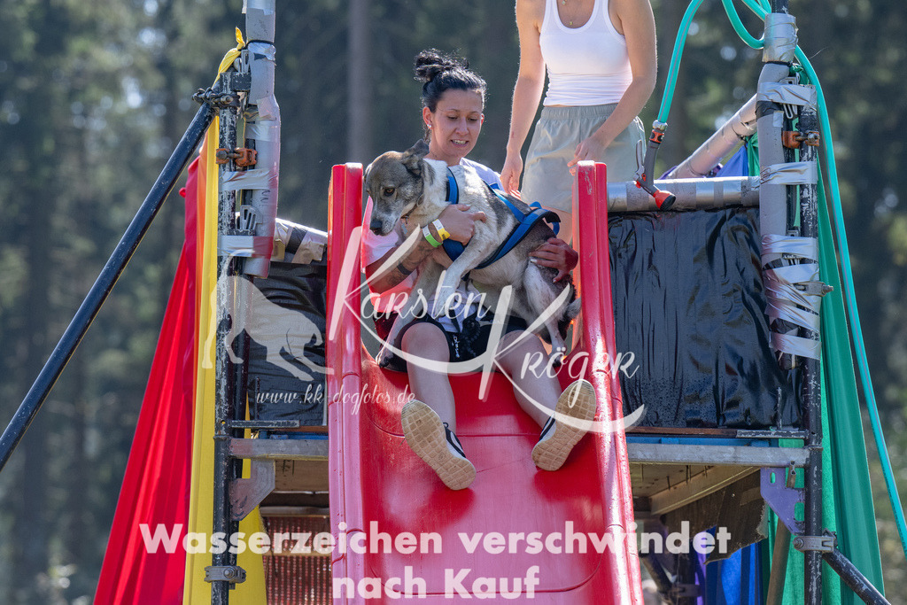 1402_ZZ92838 | kk-dogfotos