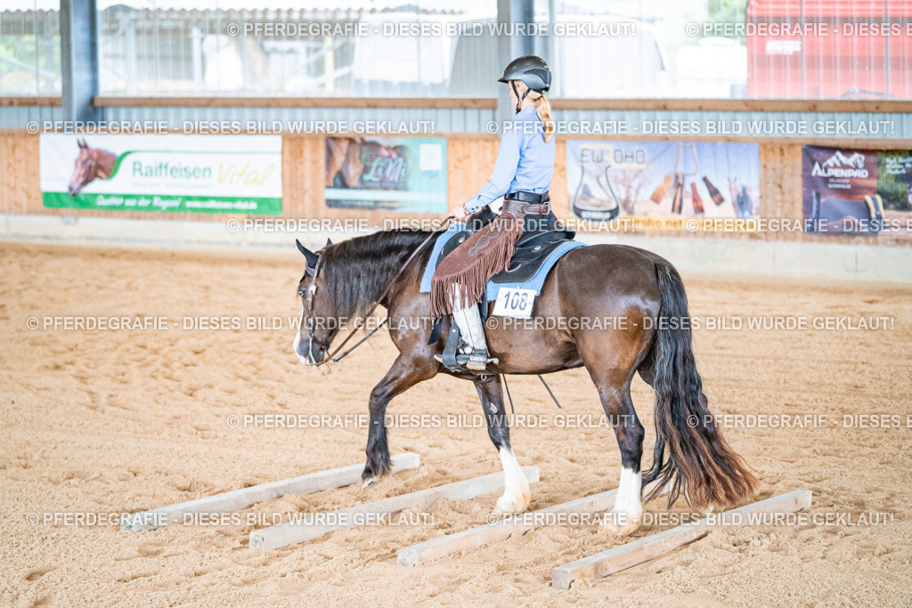 DSC09718 | Pferdegrafie