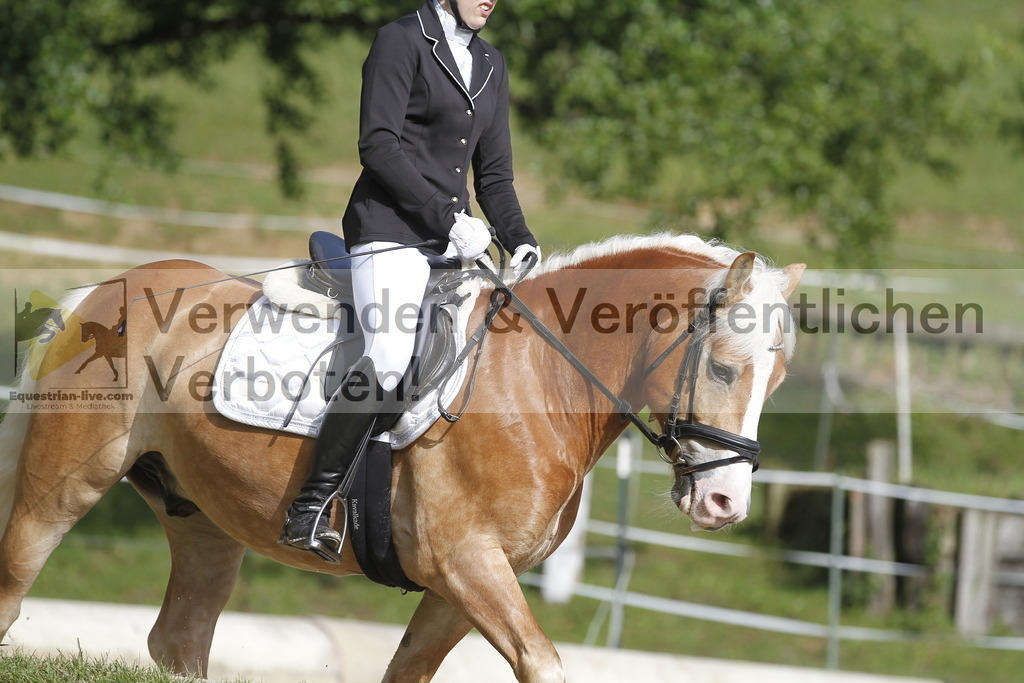 _MG_0331 | equestrian-live-com