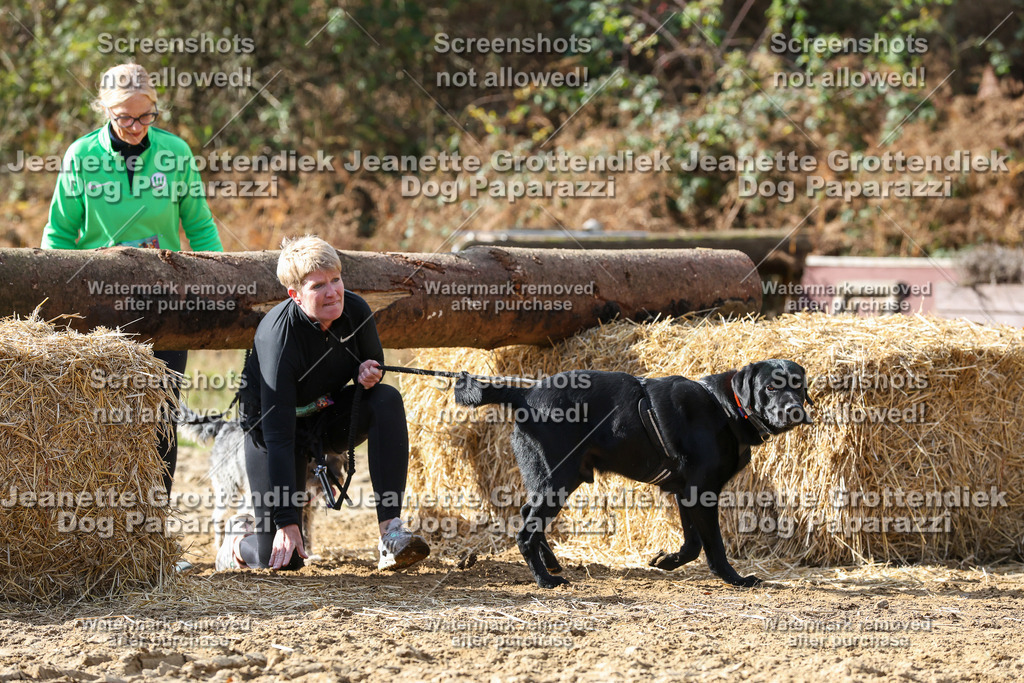 Dog Paparazzi - Strongdog 10-25-5251 | Dog Paparazzi Jeanette Grottendiek Fotografie & Videografie - Realisiert mit Pictrs.com