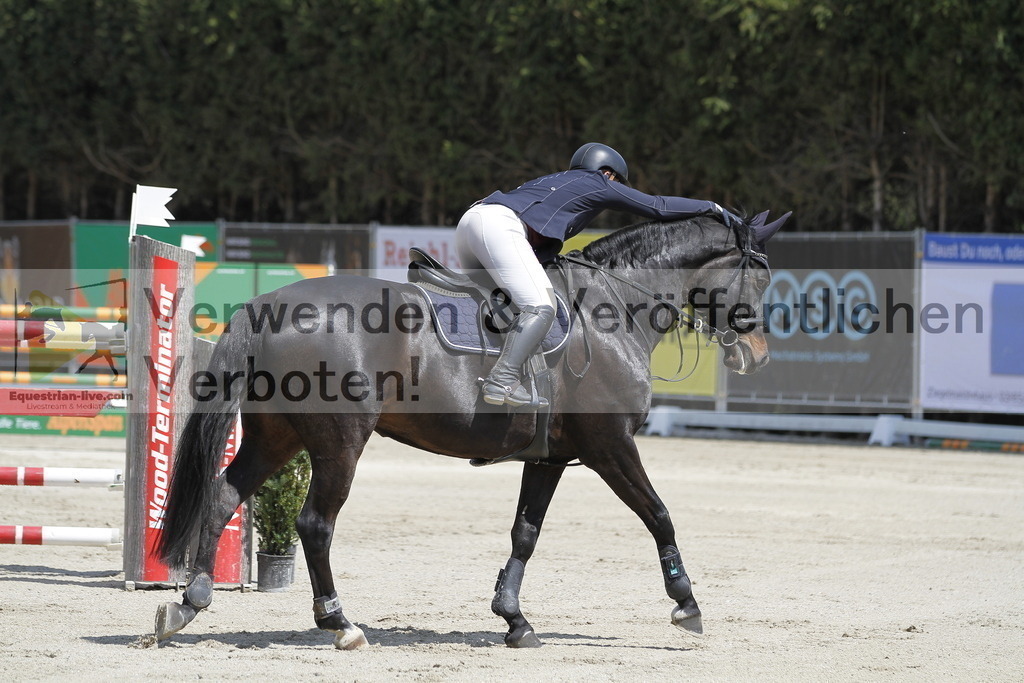 _MG_7379 | equestrian-live-com