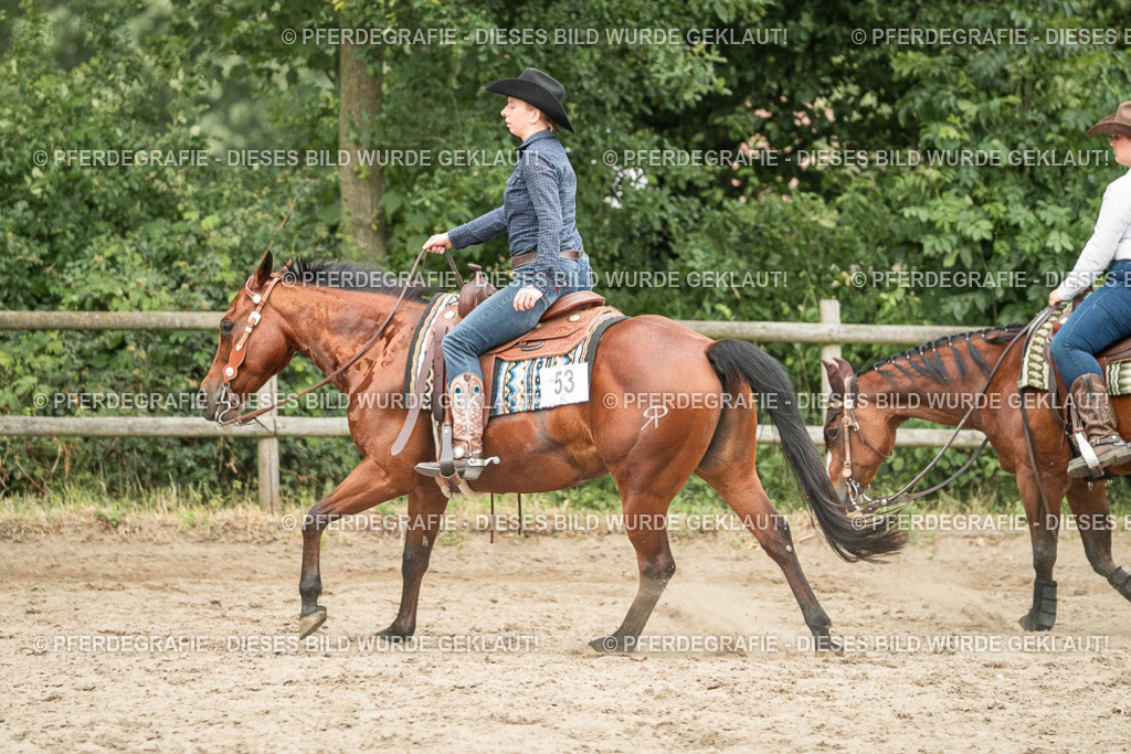 DSC04253 | Pferdegrafie