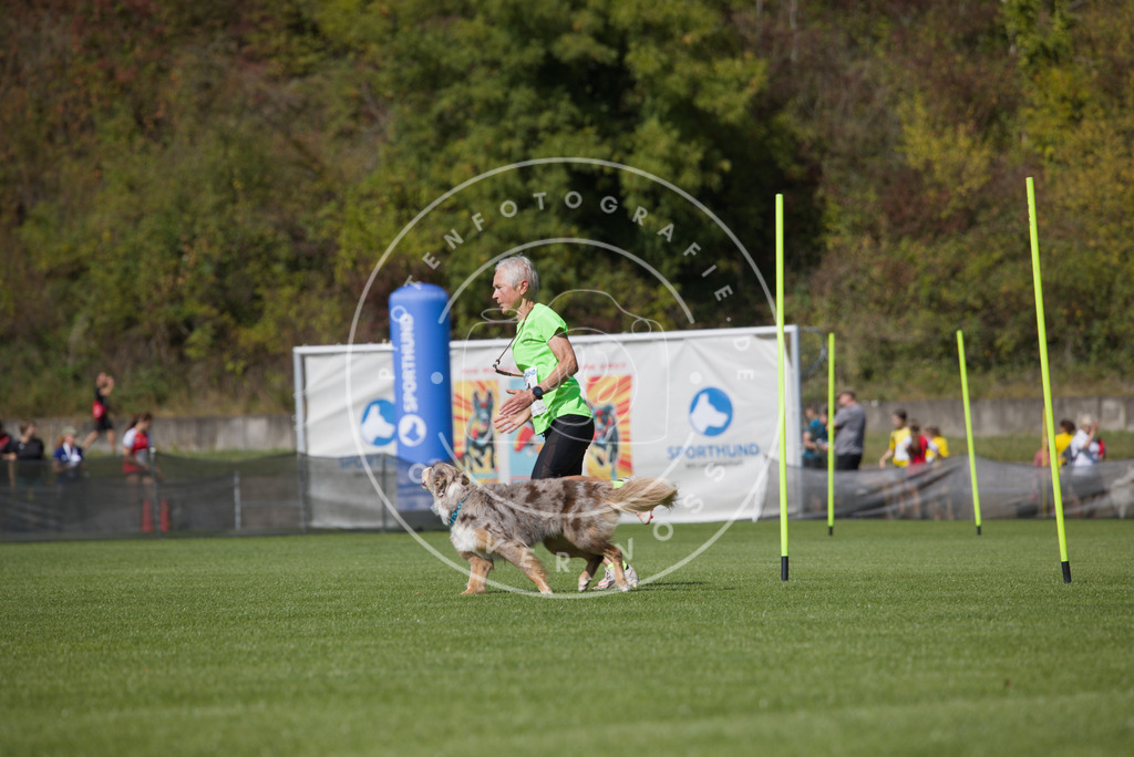 0L8A2703 | Hundefotografie, Tierfotograf, Pfotenfotografie, Fotoshooting Hund, Hunde Portrait, Hundesport, Hundeportraits, Heideshooting, Hunde, Sportfotograf, Hundefotograf, Turnierhundsport, THS,  - Realisiert mit Pictrs.com