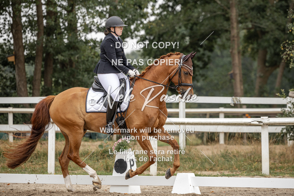 nelerasche_DrL_Ede_103 | nelerasche