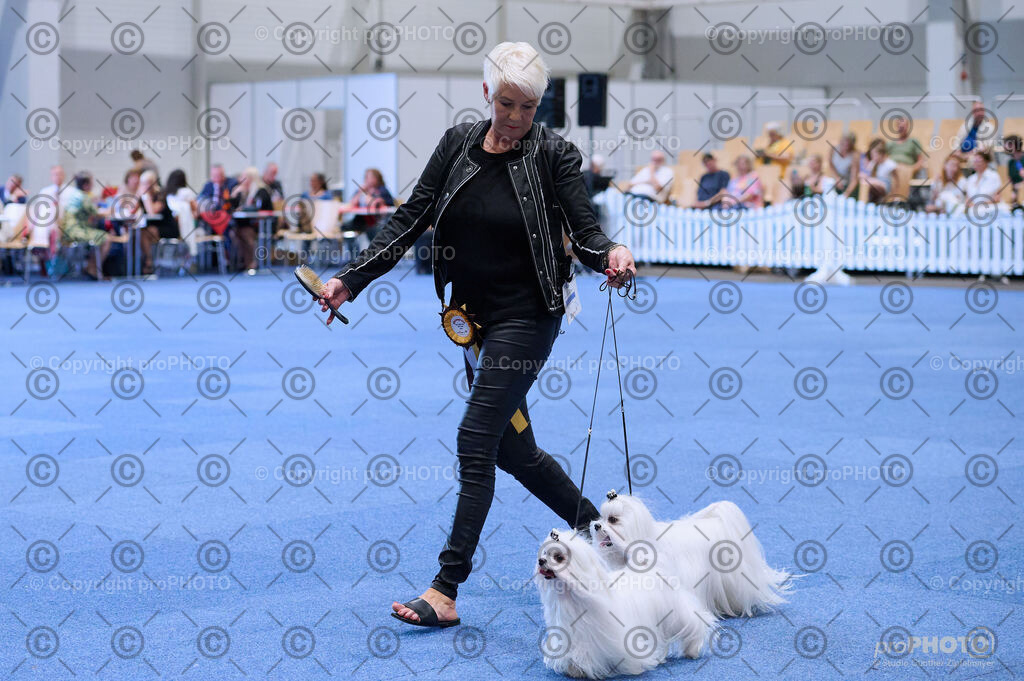 202406_ÖKV-IHA-Tulln24_DSC_3702 | proPHOTO - Realisiert mit Pictrs.com